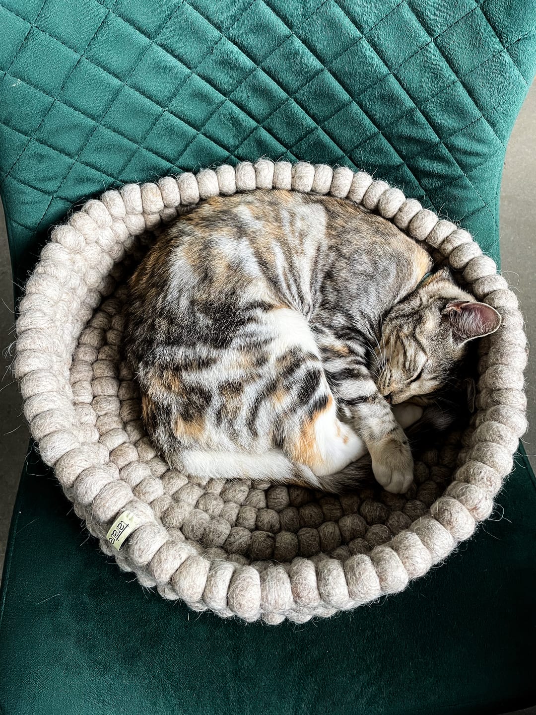 Handmade Felt Ball Cat Bed Round Wool Basket - Sandstone - Pryde Pets
