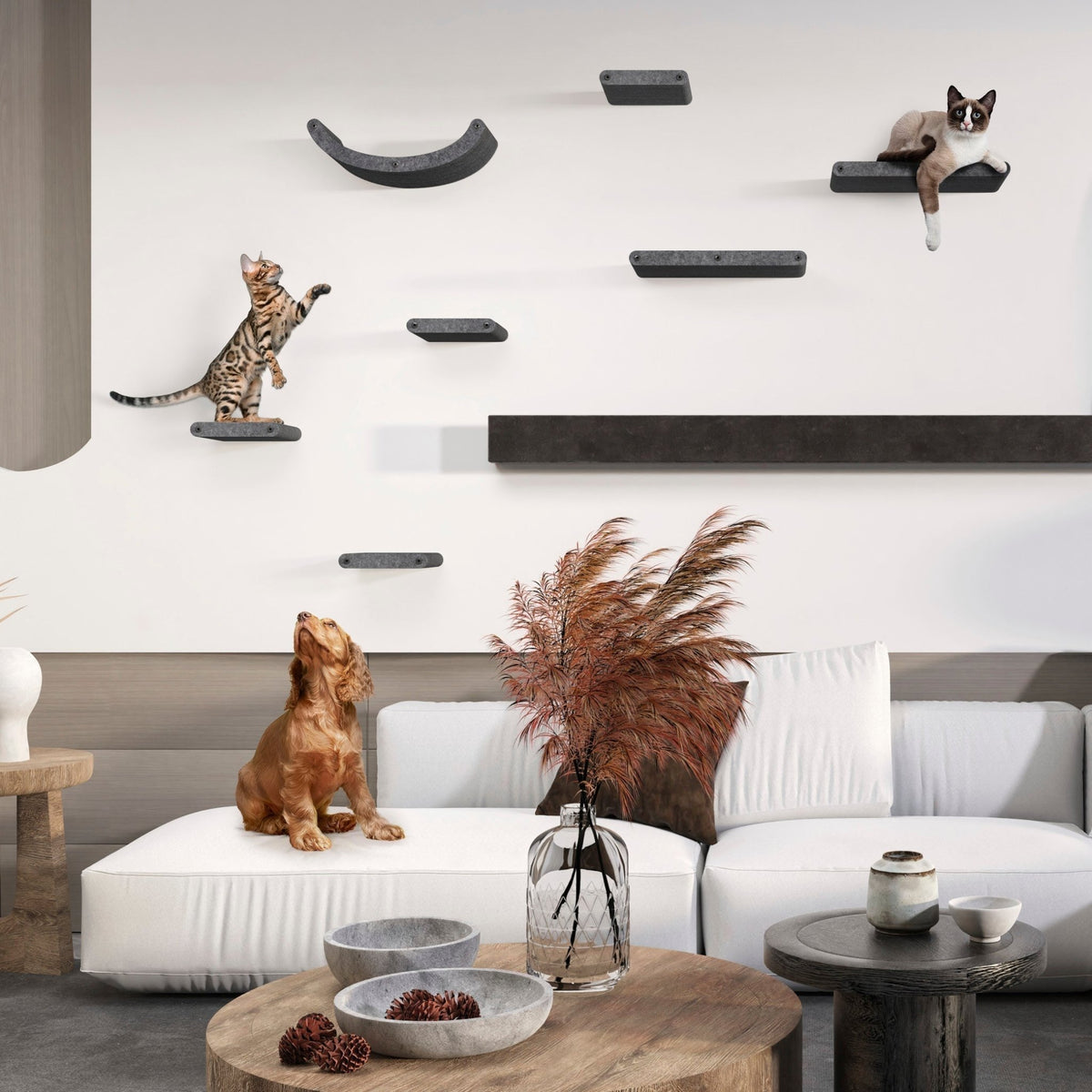 Everything You Need to Know About Cat Climbing Structures in 2025 - Pryde Pets