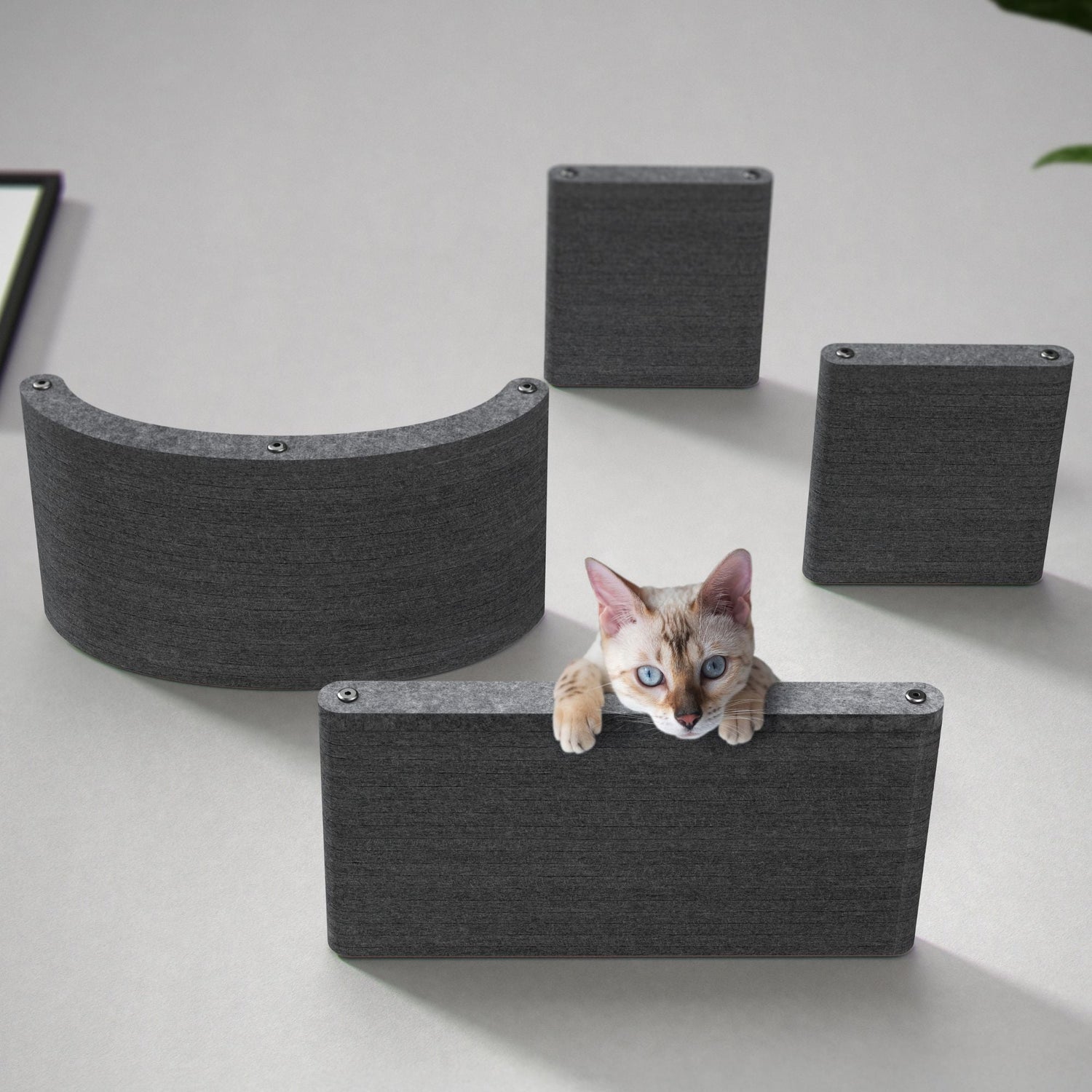 Cat Climbers - Pryde Pets
