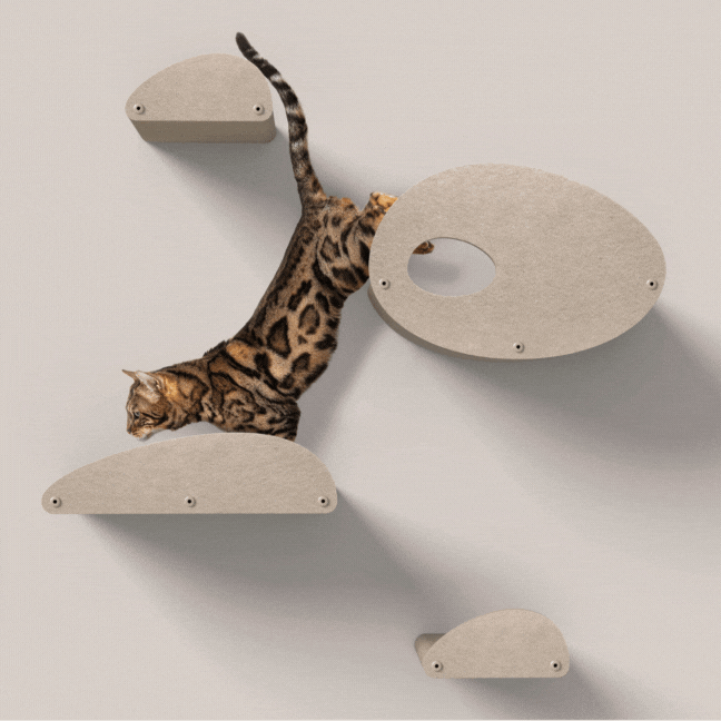 Set of 4 Oatmeal Cat Climbers with Facades