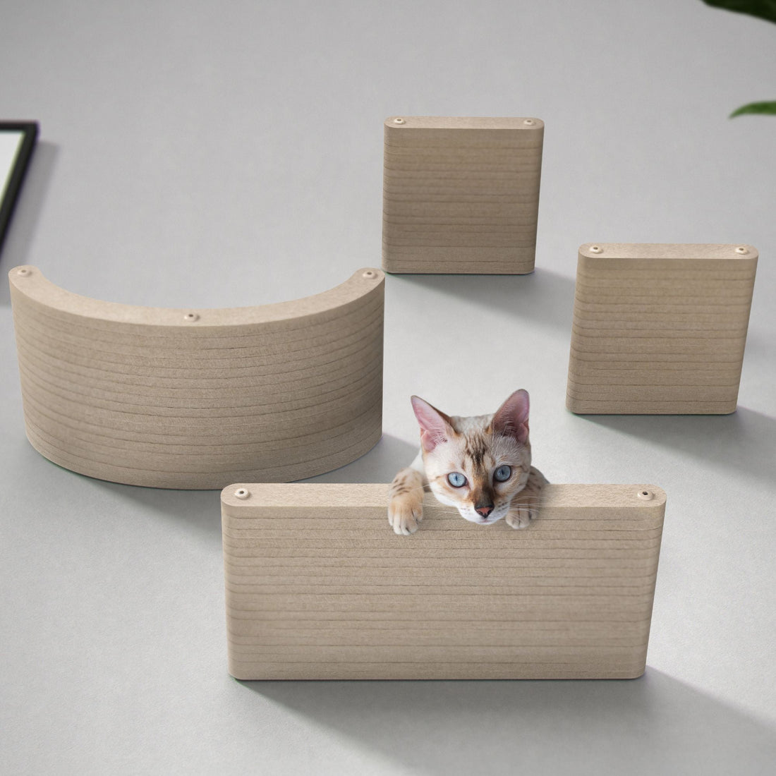 Set of 4 Oatmeal Cat Climbers - Pryde Pets