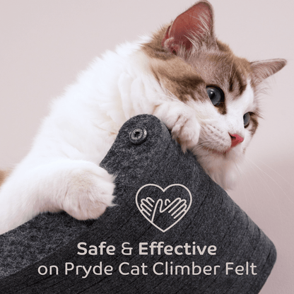 The Fur - nomenal Fur Remover - Pryde Pets