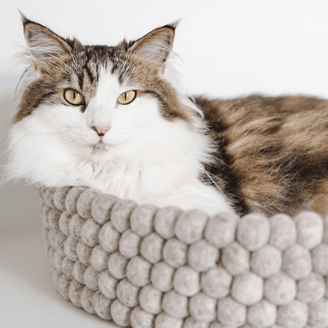 Handmade Felt Ball Cat Bed Round Wool Basket - Grey - Pryde Pets