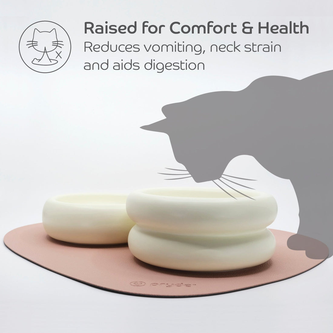 Complete Dining Set with Reversible Blush &amp; Charcoal Dining Mat - Pryde Pets