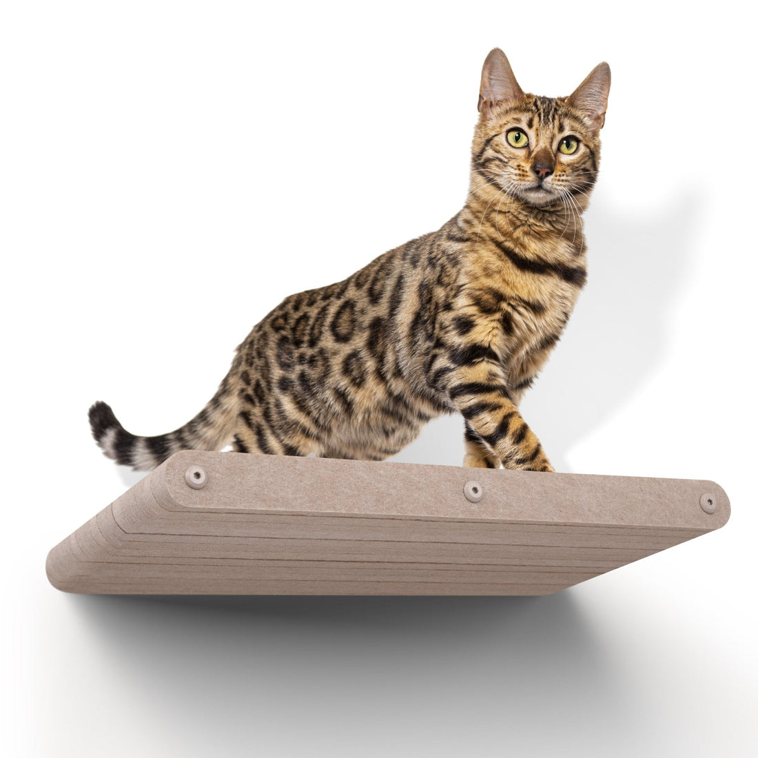 Oatmeal Long Lounger Cat Climber - Pryde Pets