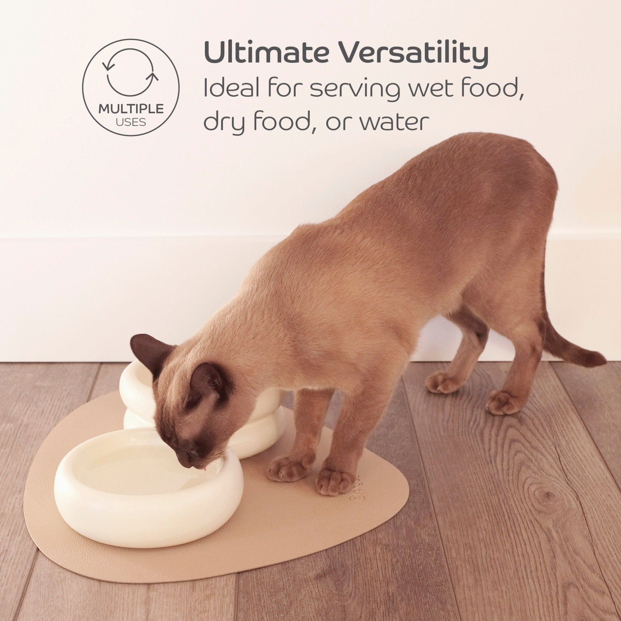 Ceramic Dining Bowl - Pryde Pets